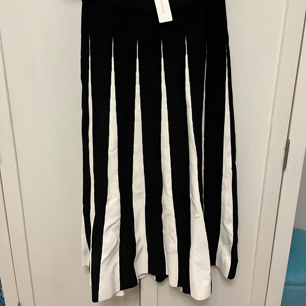 Anthropology Midi Skirt